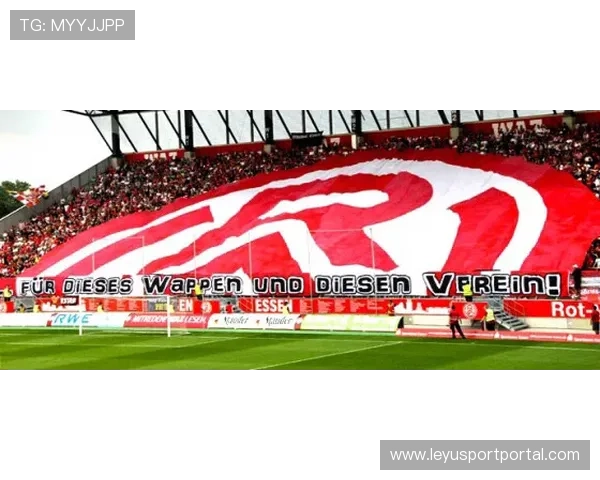 业余球队规模扩大，新血持续涌入