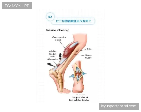 “科学：运动医学专家解读跟腱撕裂恢复新疗法，及其对篮球运动员的影响”
